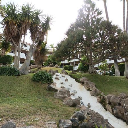 Apartament Estudio En Tenerife Con Piscina / Study Flat With Pool San Miguel de Abona Zewnętrze zdjęcie