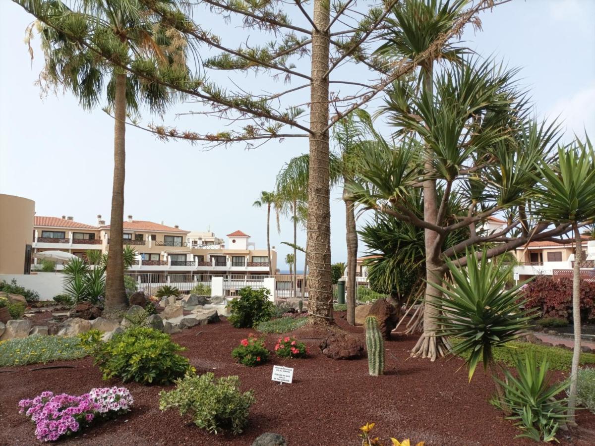 Apartament Estudio En Tenerife Con Piscina / Study Flat With Pool San Miguel de Abona Zewnętrze zdjęcie